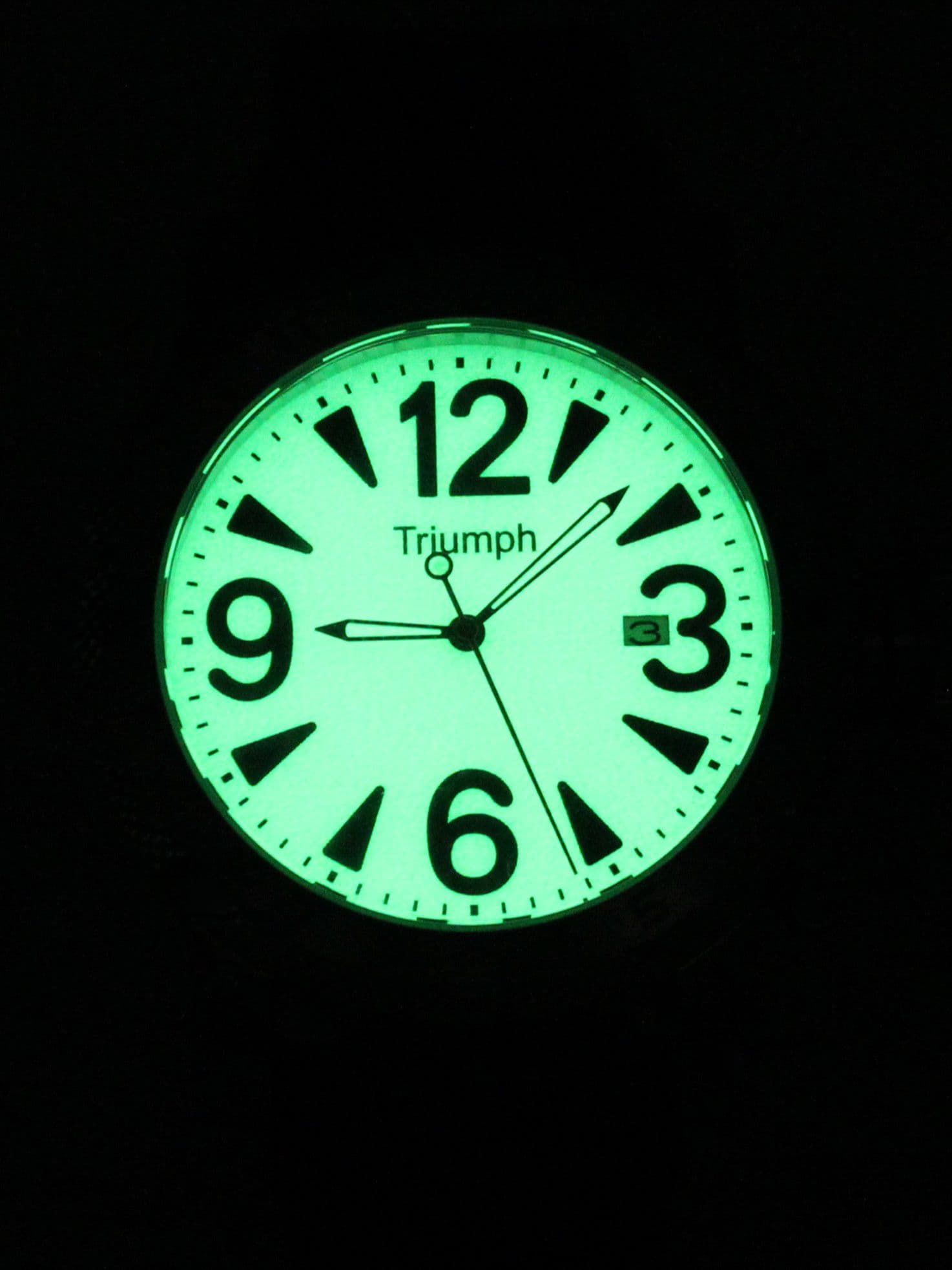 Часы Triumph механические с автоподзаводом (Seiko NH35A) 47.503.2