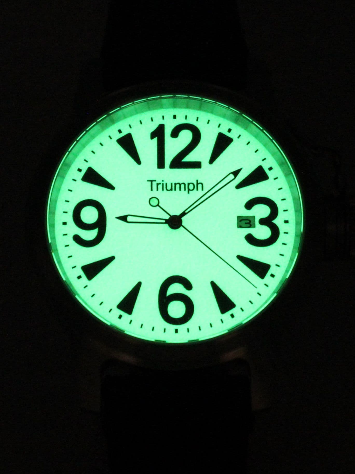 Часы Triumph механические с автоподзаводом (Seiko NH35A) 45.503.2