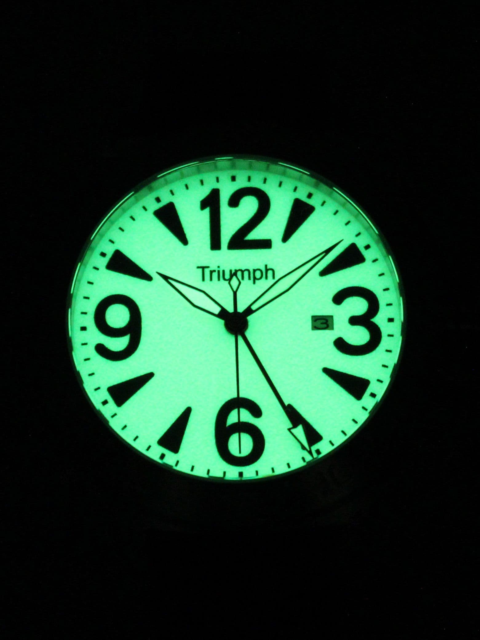 Часы Triumph механические с автоподзаводом (Seiko NH34A) 52.503.21
