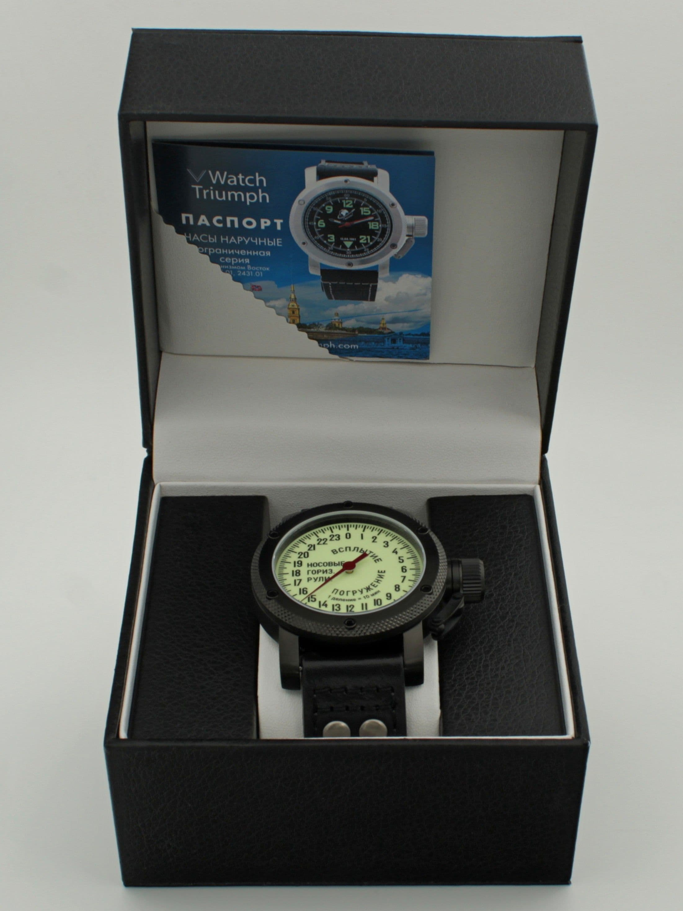 Часы Погружение / Всплытие однострелочные механические с автоподзаводом (Восток 2431) 101.181.01