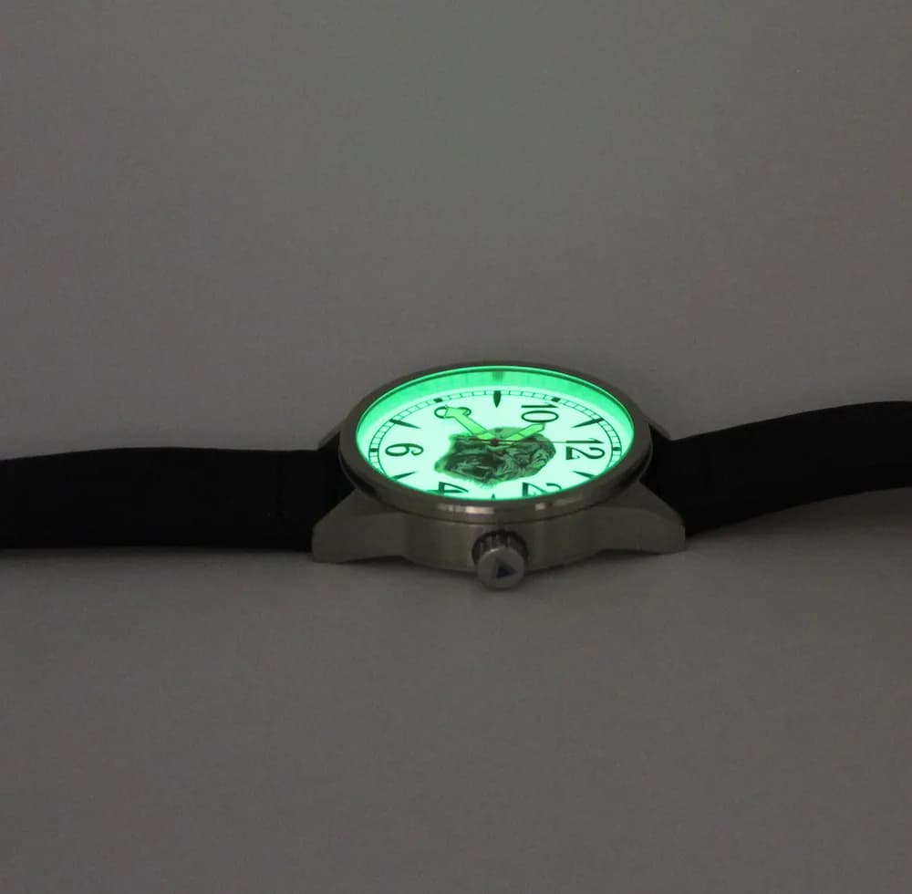 Часы наручные Тигр 21.315.01  механические,  механизм Ракета 2609